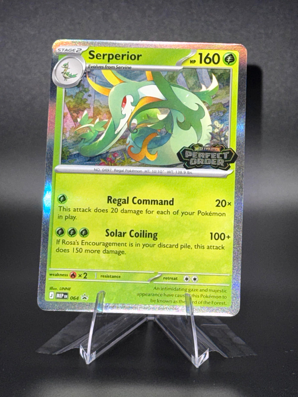 Serperior • 064 Mega Evolution Promos Promo • Near Mint • Holofoil