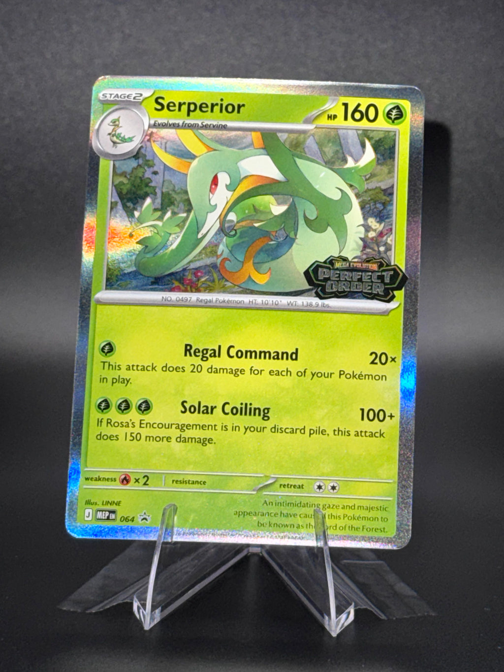 Serperior • 064 Mega Evolution Promos Promo • Near Mint • Holofoil