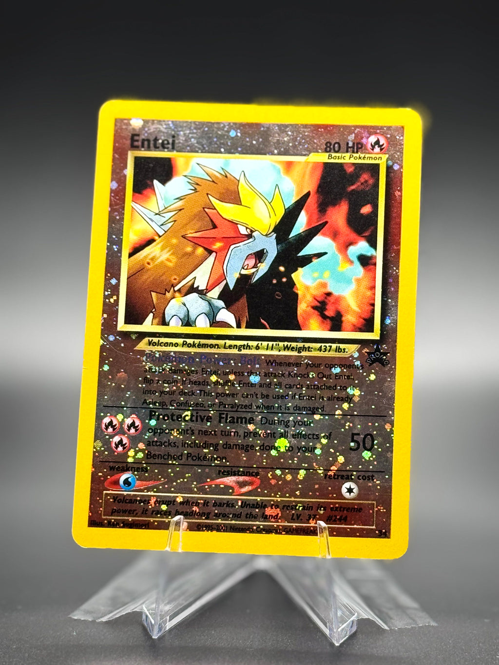 Entei • 34 WoTC Promo Promo • Near Mint • Reverse Holofoil