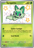 Sprigatito - Scarlet & Violet Black Star Promos - 076 - Holofoil