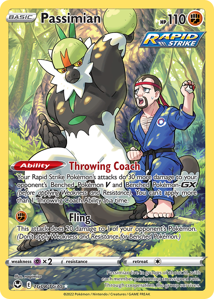 Passimian • Silver Tempest Trainer Gallery • Trainer Gallery Rare Holo • Near Mint • Holofoil