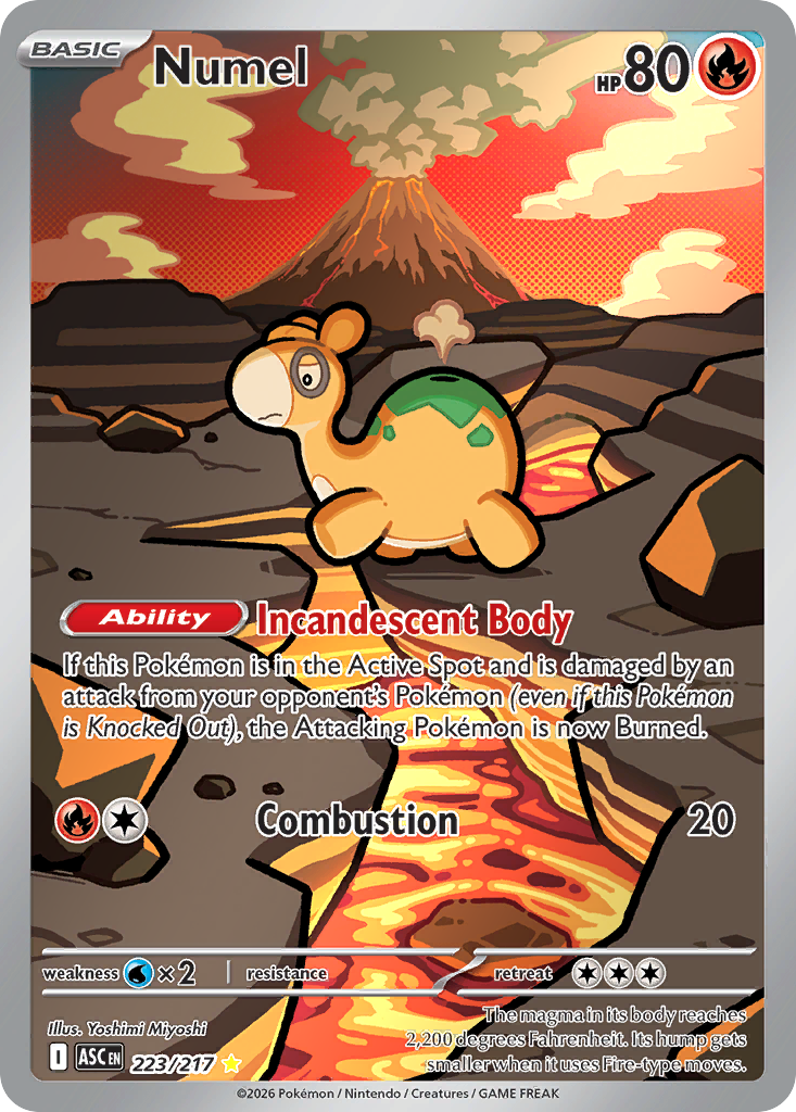 Numel • Ascended Heroes • 223/217 • Illustration Rare • Near Mint • Holofoil